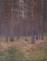 Ormbunkar, 1894