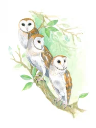 3 tornugglor