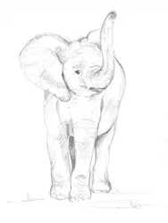 Elefantunge 02