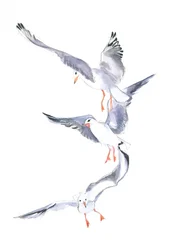 Måsens flykt