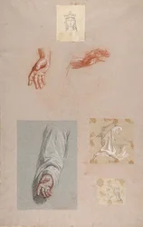 a. Hands of Saint Remi lägre register, f. Chef för Saint Clotilde övre register..., 1800-talet