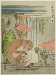 Monkey (Saru), från serien "Fashionable Twelve Signs of the Zodiac (Furyu juni shi)"