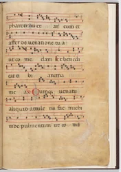 Blad 8 från ett antifonalt fragment