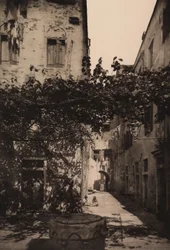 Corte Dolfin i Castello, 1892