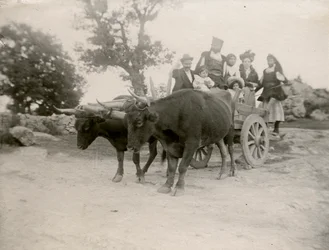 Familj på oxdragen kärra, Sardinien, Italien, ca 1910