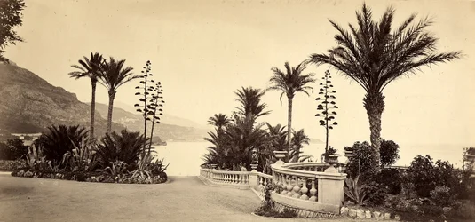 Trädgården på kasinot i Monte Carlo, i Monacos furstendöme