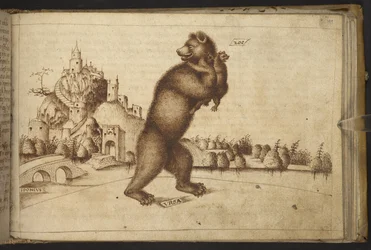 Lägg till. 82955, f.199   Björnar (