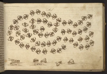 Lägg till. 82955, f.65 Bin (