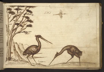 Lägg till. 82955, f.70   Heron (