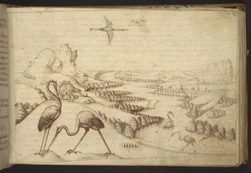 Lägg till. 82955, f.93 Häger (