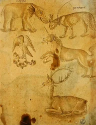 Djur (penna, bläck och tvätt på papper)