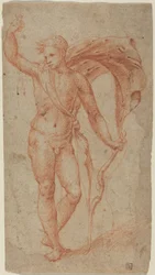 Apollo, ca 1510-1540 (röd krita)