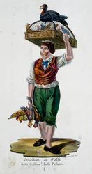Kycklingförsäljare, Italien