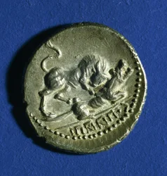 Mynt av de kursiva stammarna som visar en tjur som attackerar den romerska vargen, 89-90 f.Kr. (silver)