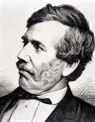 David Livingstone (1813-73) skotsk missionär och afrikansk upptäcktsresande (gravyr)