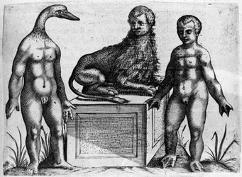 Olika typer av mänskliga monster: en man med huvudet av en anka, en man med kroppen av ett lejon och en annan med handflatan. Gravyr från "De monstrorum natura, causis et differentiis" av Fortunio Liceti (1577-1656), italiensk vetenskapsman. 1646
