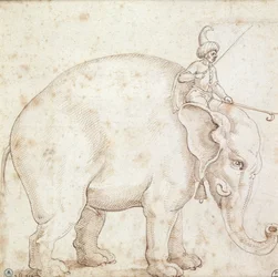 Elefanten Hanno och hans Mahout