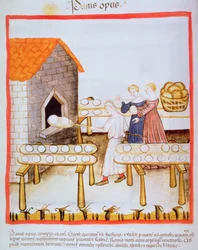 Fol.63v Bakning av brunt bröd, illustration från Tacuinum Sanitatis