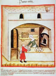 Fol.64v Beredning av hirsbröd, illustration från Tacuinum Santiatis Codex Vindobonensis