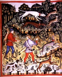 Fol.72r Hunting Hare, illustration från 
