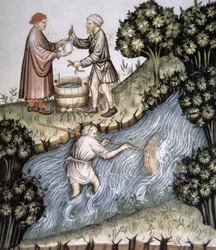 Fol.84r Fishing, illustration från Tacuinum Santiatis Codex Vindobonensis