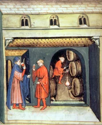 Fol.86v Lagrat fruktvin, illustration från Tacuinum Santiatis Codex Vindobonensis