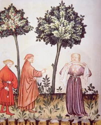Fol.98v Kolera, illustration från Tacuinum Santiatis Codex Vindobonensis