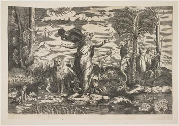 Gud skapar djuren, ca 1550