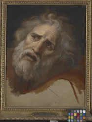 Head Of Laocoon (olja på duk)