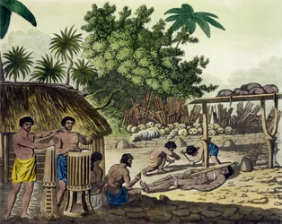 Människooffer vid Otaheite, skylt 84 från Le Costume Ancien et Moderne, av Jules Ferrario, publicerad ca 1820-30-talet (se även 10204)