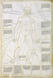 Illustration från "Fassiculus Medicinae" Venedig