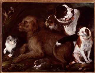 Medici hundar, med en katt och en kanin från den italienska skolan