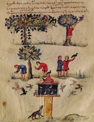 Ms Grec 479 Hunting for Birds, illustration troligen från Ixeutika av Oppian (tempera på veläng)