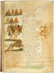 Ms Ital 483 P.4.7 f.156v Tvillingarna, Lejonet och Kräftan, från 