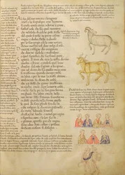 Ms Italien 87 fol.171 Sida som illustrerar astrologiska tecken, från 