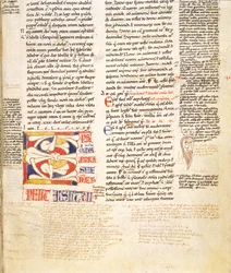 Ms. McClean 135, f.96r: detalj av ett historiskt initialt C i växtform från Gratians Decretum, sent 1100-tal