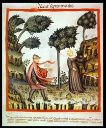 Nova 2644 fol.58v Nordvinden, från Tacuinum Sanitatis