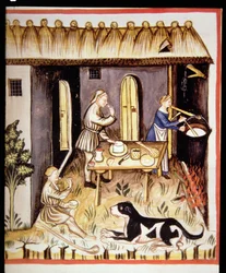 Nova 2644 fol.62r Beredning av vit ost, från Tacuinum Sanitatis
