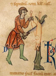 November, Butcher Quarters gris, Miniatyr från Martyrology of Adonis, Italien