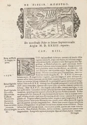 Sida 742 från History of the Northern Gentivus av Magnus Olaus, Rom 1565 (tryck & gravyr)