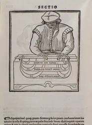 Sida från Musica theorica av Lodovico Fogliani (1475?-1542) (eller Ludovico Foliani) musikteoretiker