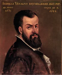 Porträtt av Andre Vesale (Andreas Vesalius) (1514-1564), anatom och doktor av Karl V anonym målning av den italienska skolan. 1500-talets Padua, universitet