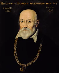 Porträtt av Hieronymus Fabricius