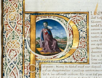 Porträtt av Plinius den äldre