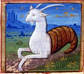 Stenbockens tecken. Italienskt horoskop, mitten av 1400-talet.