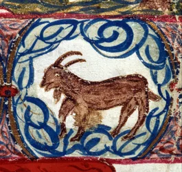 Stenbockens tecken. Italienskt horoskop från mitten av 1400-talet.
