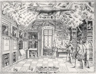 Kejsar Ferdinand III:s naturhistoriska museum från Historia Naturale av Ferrante Imperato (1550-1631) pub. år 1672