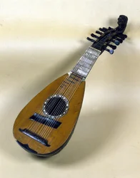 Venetiansk mandolin stilleben