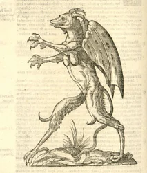 Illustration av Monstrum alatum, & cornutum instar Cacodaemonis ur Aldrovandis Monsterhistoria, 1642