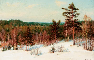 Vinter - Utsikt över skogen